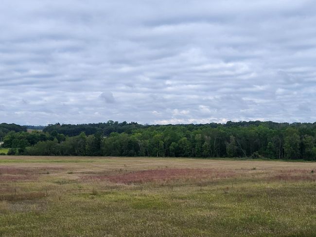 96 acre split .jpg | Image 20
