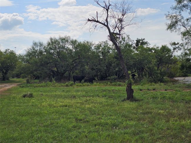 View of undeveloped land | Image 21
