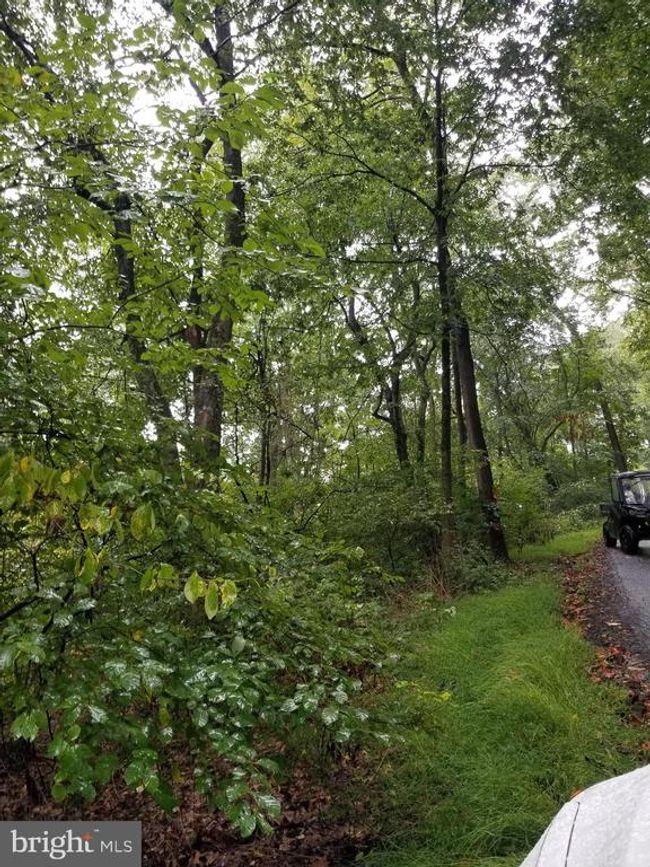 Lot 094 Fireline Rd, Home with 0 bedrooms, 0 bathrooms and null parking in KINTNERSVILLE PA | Image 5