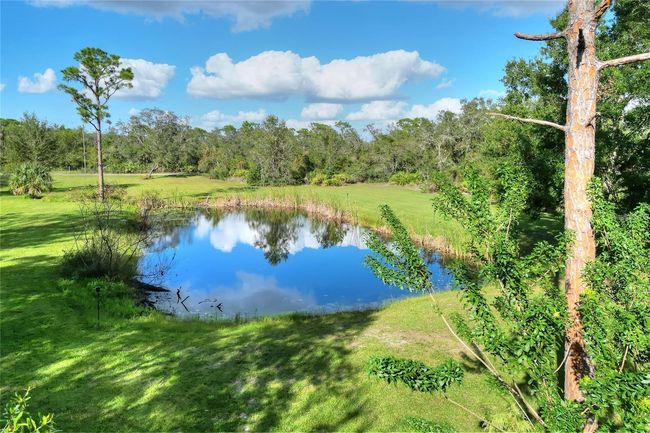 119 Mini Ranch Rd, Home with 3 bedrooms, 2 bathrooms and null parking in SEBRING FL | Image 46