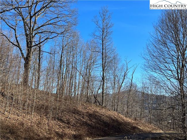 33 Paradise Valley Circle, Home with 0 bedrooms, 0 bathrooms and null parking in Creston NC | Image 14