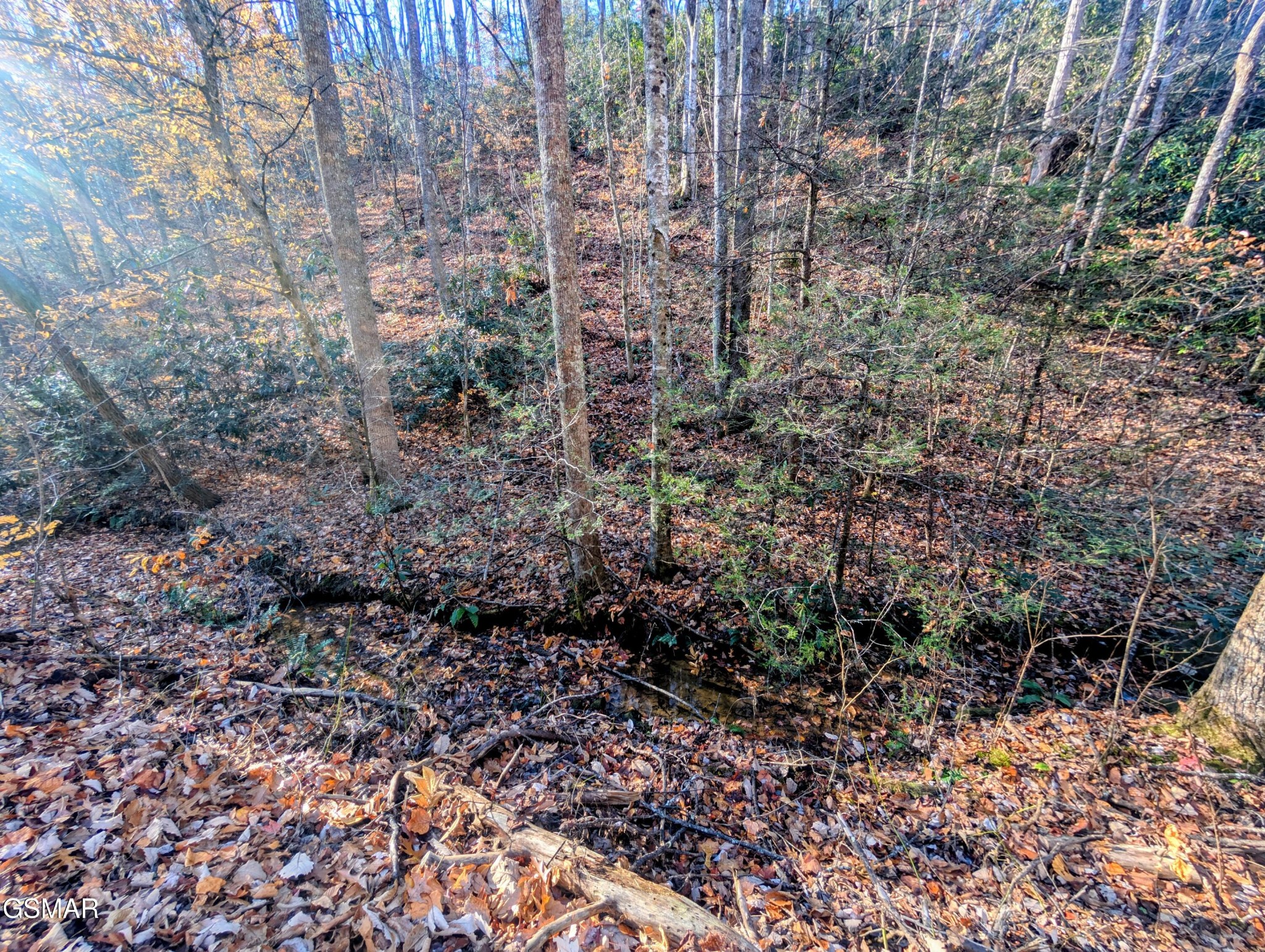Land in Sevierville 2