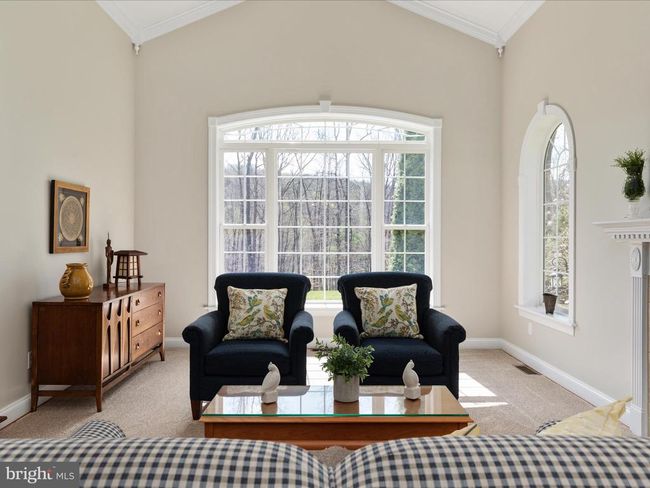 460 Solitude Ln, House other with 4 bedrooms, 5 bathrooms and null parking in Boyce VA | Image 22