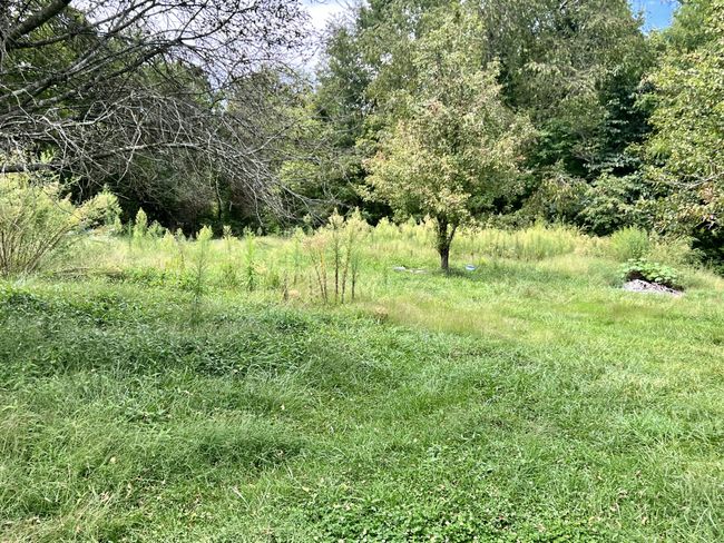 254 Isham Rd W, House other with 3 bedrooms, 2 bathrooms and 3 parking in Winfield TN | Image 42