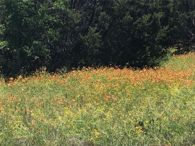 1096 Lakeside Trl, Home with 0 bedrooms, 0 bathrooms and null parking in Whitney TX | Image 12