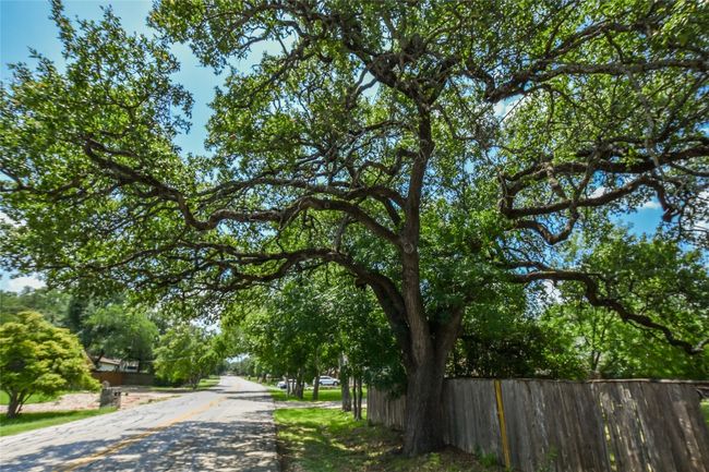 4306 Luna Trl, Home with 0 bedrooms, 0 bathrooms and null parking in Georgetown TX | Image 16