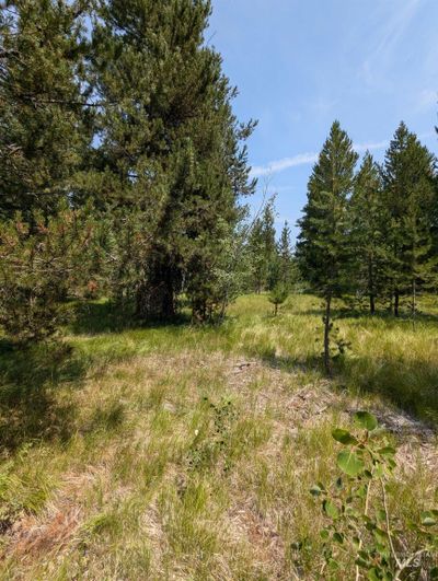 LOT 79 Thunderbolt Place, Home with 0 bedrooms, 0 bathrooms and null parking in McCall ID | Image 3