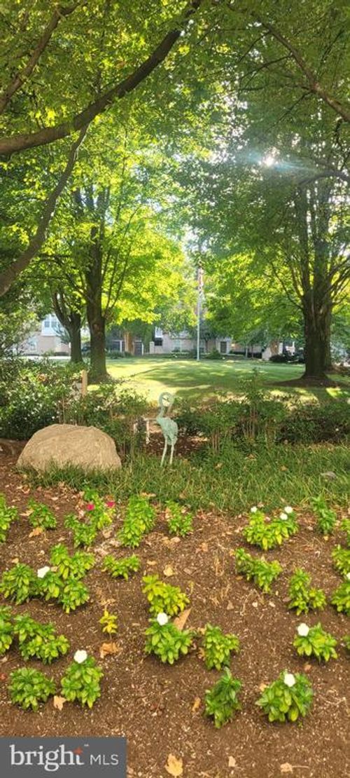 apt-1626-10201 Grosvenor Pl, ROCKVILLE, MD, 20852-4699 | Card Image