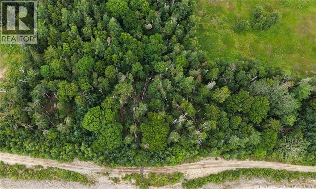 Land in Pennfield 2