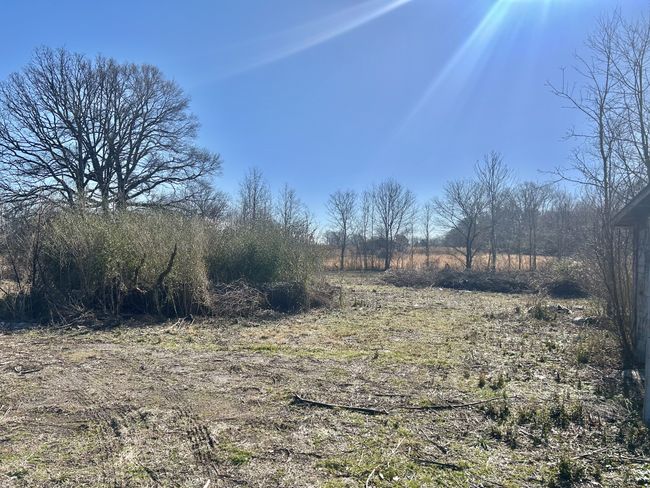 2410 Asbury Rd, Home with 0 bedrooms, 0 bathrooms and null parking in Manchester TN | Image 6
