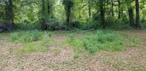 0 Rabb St, Walterboro, SC, 29488 | Card Image