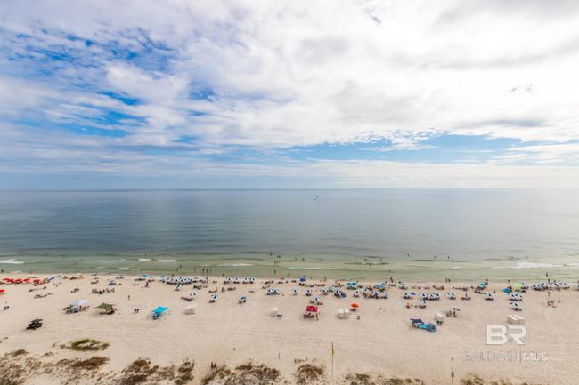 View | Image 18