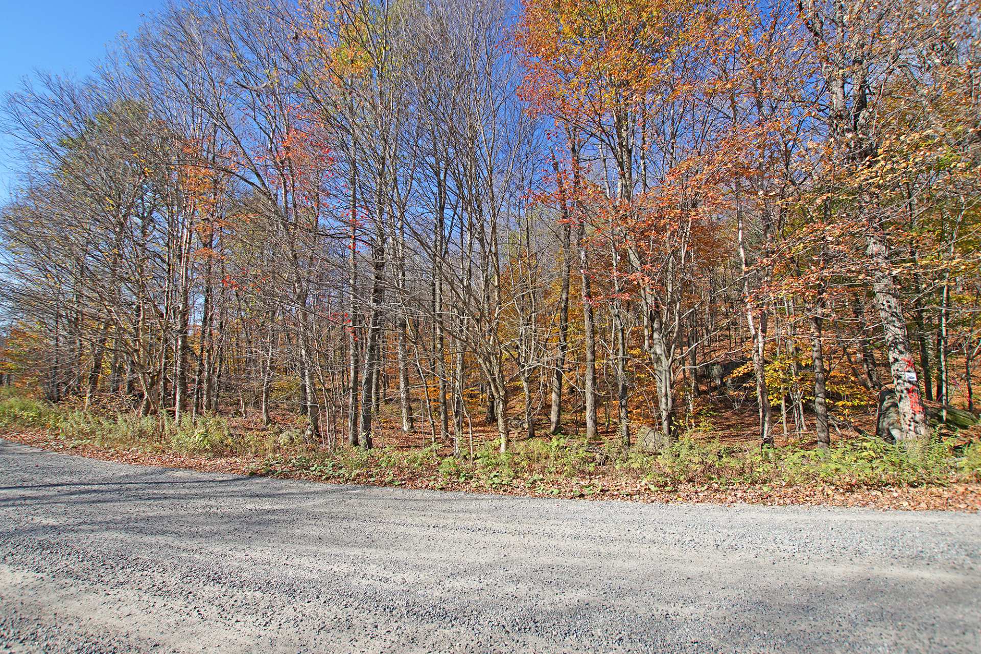 Land in Wentworth 4
