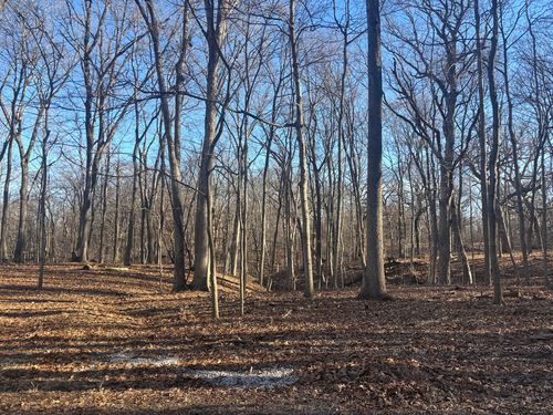 1761-1762 Sunflower Dr, Varna, IL, 61375-9528 | Card Image