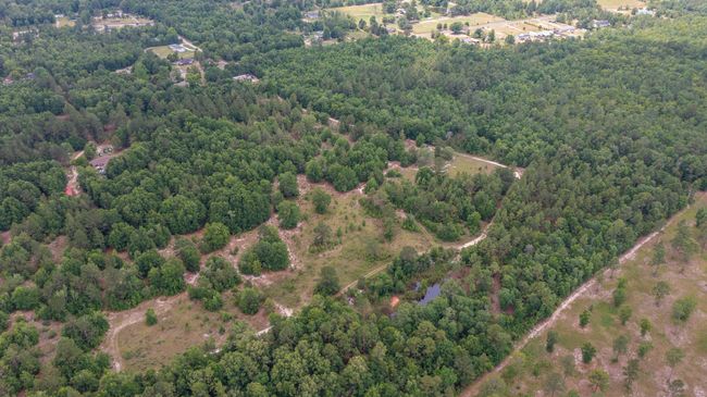 1327 Charlies Loop, Home with 0 bedrooms, 0 bathrooms and null parking in Williston SC | Image 6