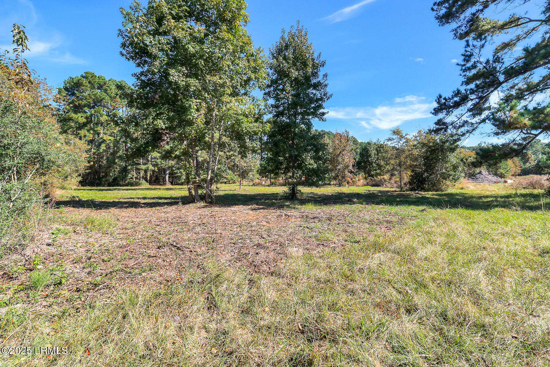 Land in Ridgeland 5