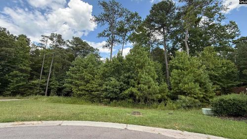 542 Golden Rod Ct, Blythewood, SC, 29016-7646 | Card Image