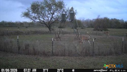 2224 Levee Rd, Bloomington, TX, 77951 | Card Image