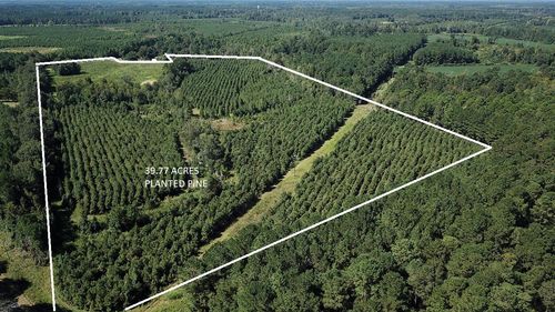 00 Fralix Rd, Smoaks, SC, 29481 | Card Image