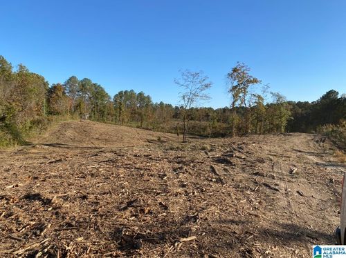 lot-4-2011 Mccay Dr, MORRIS, AL, 35116-1517 | Card Image