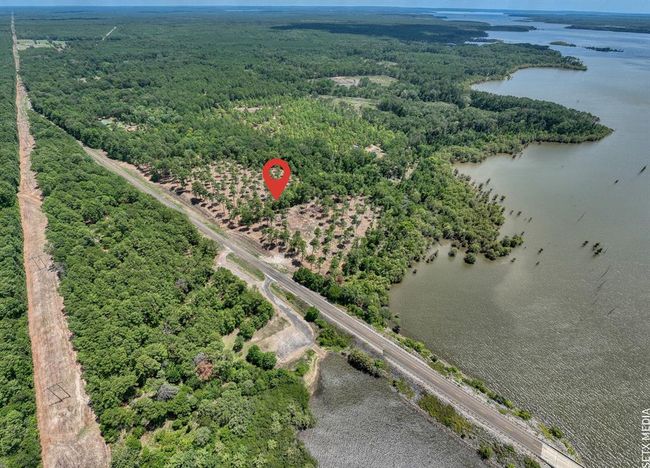 7 Fm 83, Home with 0 bedrooms, 0 bathrooms and null parking in Broaddus TX | Image 5