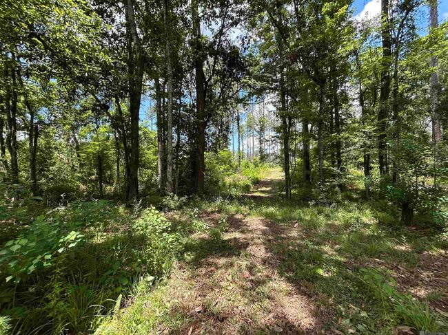 14856 Pace Rd, Home with 0 bedrooms, 0 bathrooms and null parking in Clinton LA | Image 5