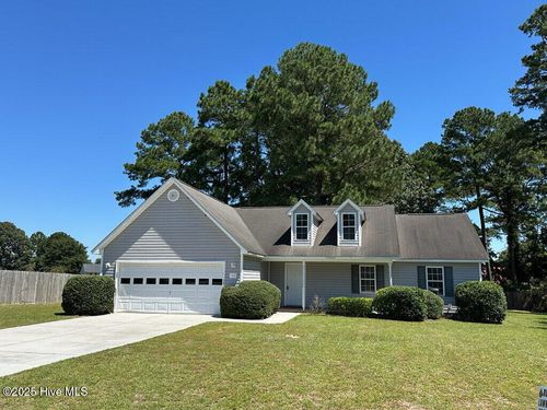 119 Appleton Ln, Richlands, NC, 28574-8302 | Card Image