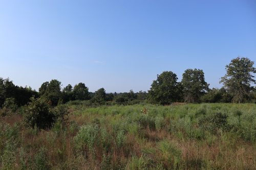 TBD Brookgrove Trl, Camp, AR, 72520 | Card Image