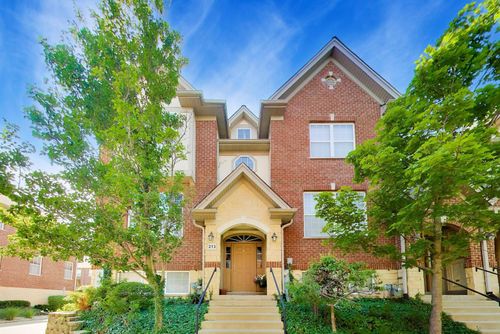 213-213 River Front Dr, Mount Prospect, IL, 60056-1993 | Card Image