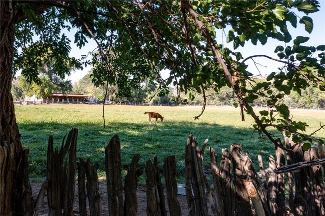 View of yard with a rural view | Image 30