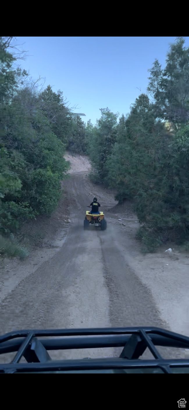 View of road | Image 13