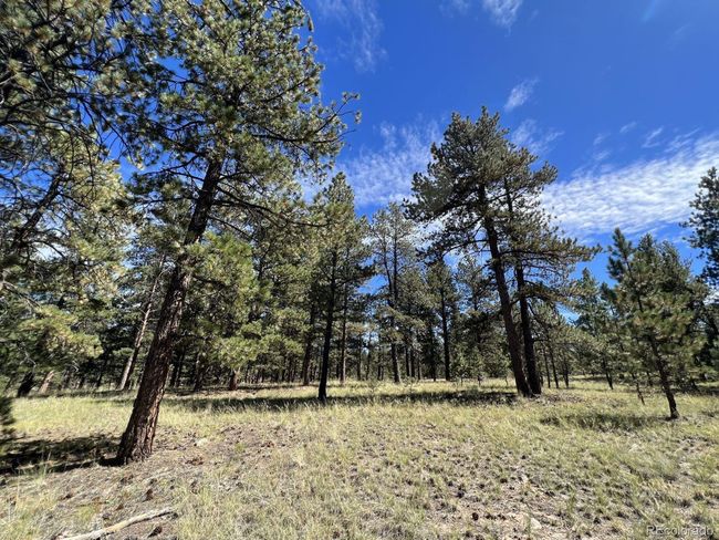 82 Kiowa Cir, Home with 0 bedrooms, 0 bathrooms and null parking in Westcliffe CO | Image 5