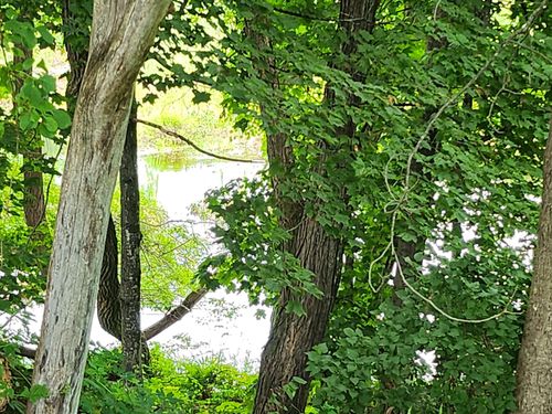 126 Meredith Ctr Road, Meredith, NH, 03253 | Card Image