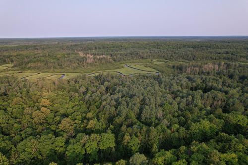 30-ac-ON Griffith Rd, Butternut, WI, 54514 | Card Image