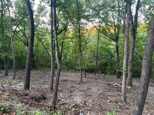 190 Deer Dr, Ridgedale, MO, 65739-4186 | Card Image