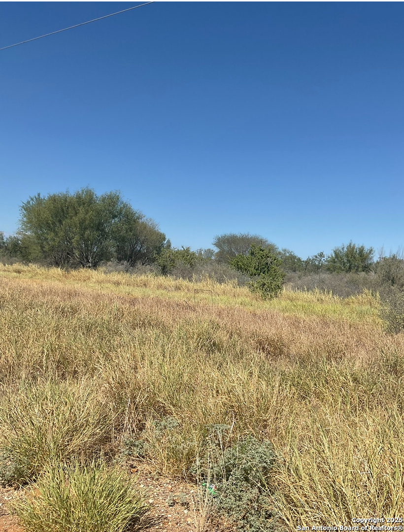 Land in Cotulla 3