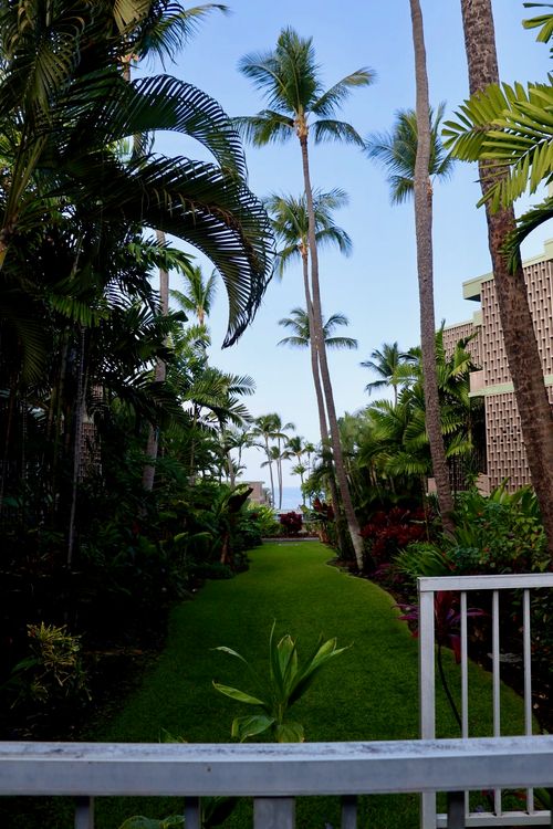 apt-118-75-6016 Alii Dr, Kailua Kona, HI, 96740-2358 | Card Image