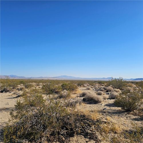 1234 Walker Rd, Johnson Valley, CA, 92285 | Card Image