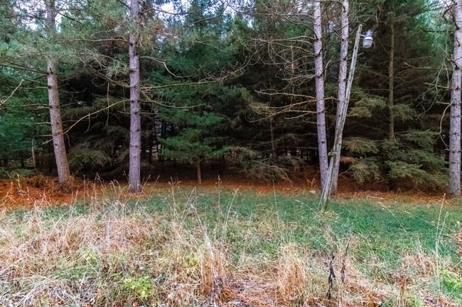 6152 Old State Rd, Home with 0 bedrooms, 1 bathrooms and null parking in North Branch MI | Image 13
