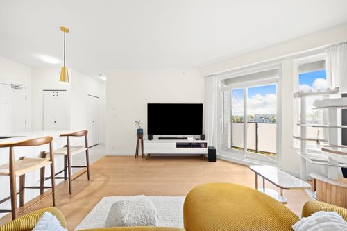 {{alt}} | Card Image