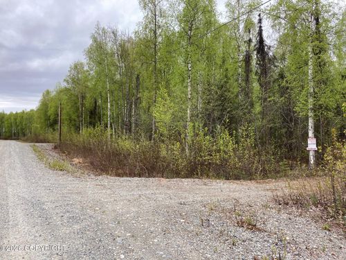 47138 S Merlin Drive, Willow, AK, 99688 | Card Image