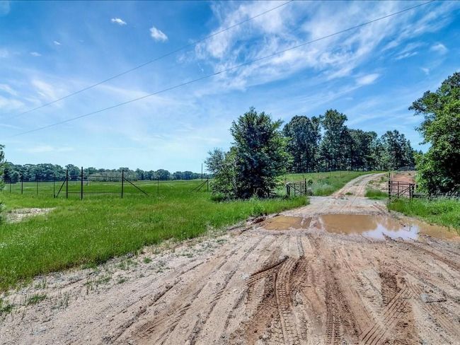 3103 Cheeseland Rd, Home with 0 bedrooms, 0 bathrooms and null parking in Pollok TX | Image 17