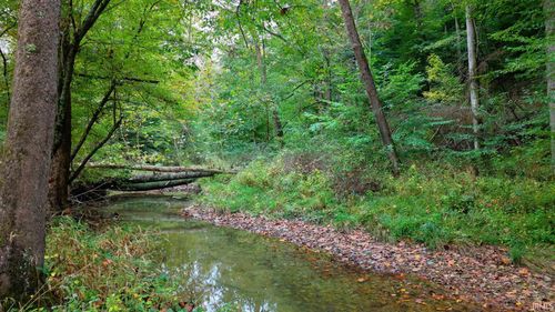 xx Rinnie Seitz Rd, Nashville, IN, 47448 | Card Image