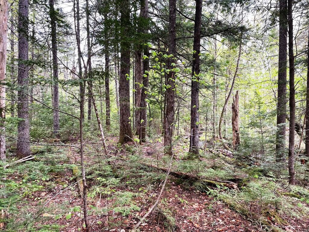 Land in Monson 5