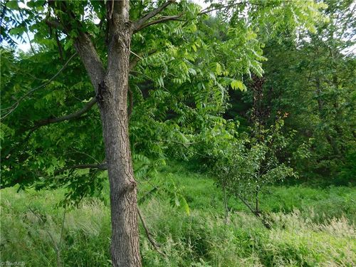 TBD Lala Way, Piney Creek, NC, 28663 | Card Image