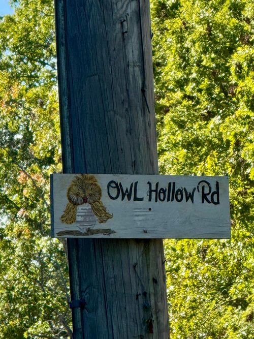 000 Owl Hollow Rd, Palmer, TN, 37365 | Card Image
