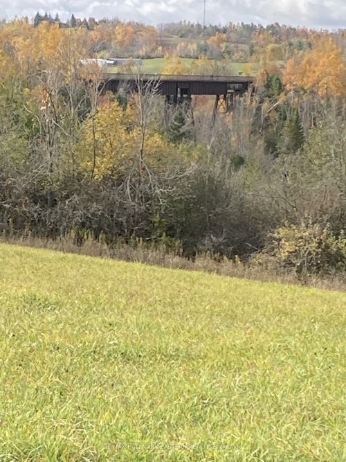 323 Orange Corners Rd, Kawartha Lakes, ON, K0L2W0 | Card Image