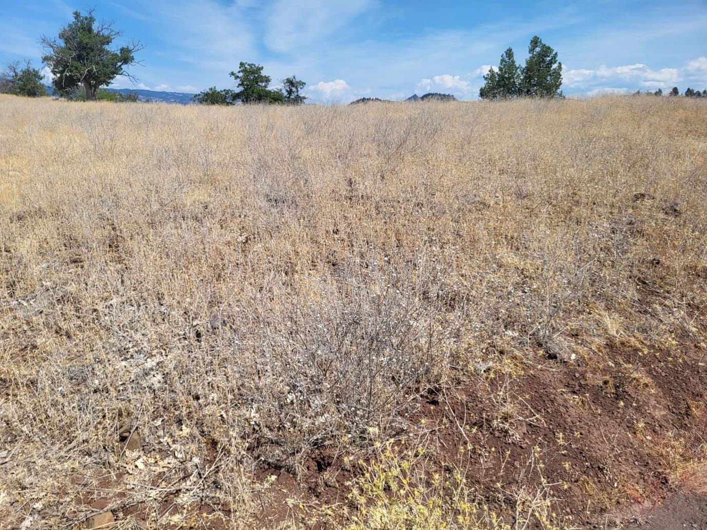Land in Hornbrook 3