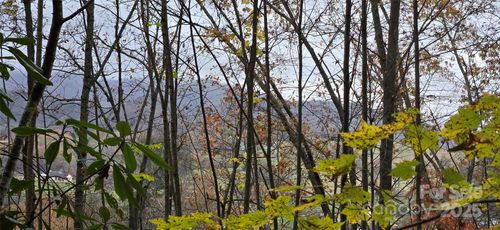 62 Turkey Hollow Ct, Waynesville, NC, 28785 | Card Image