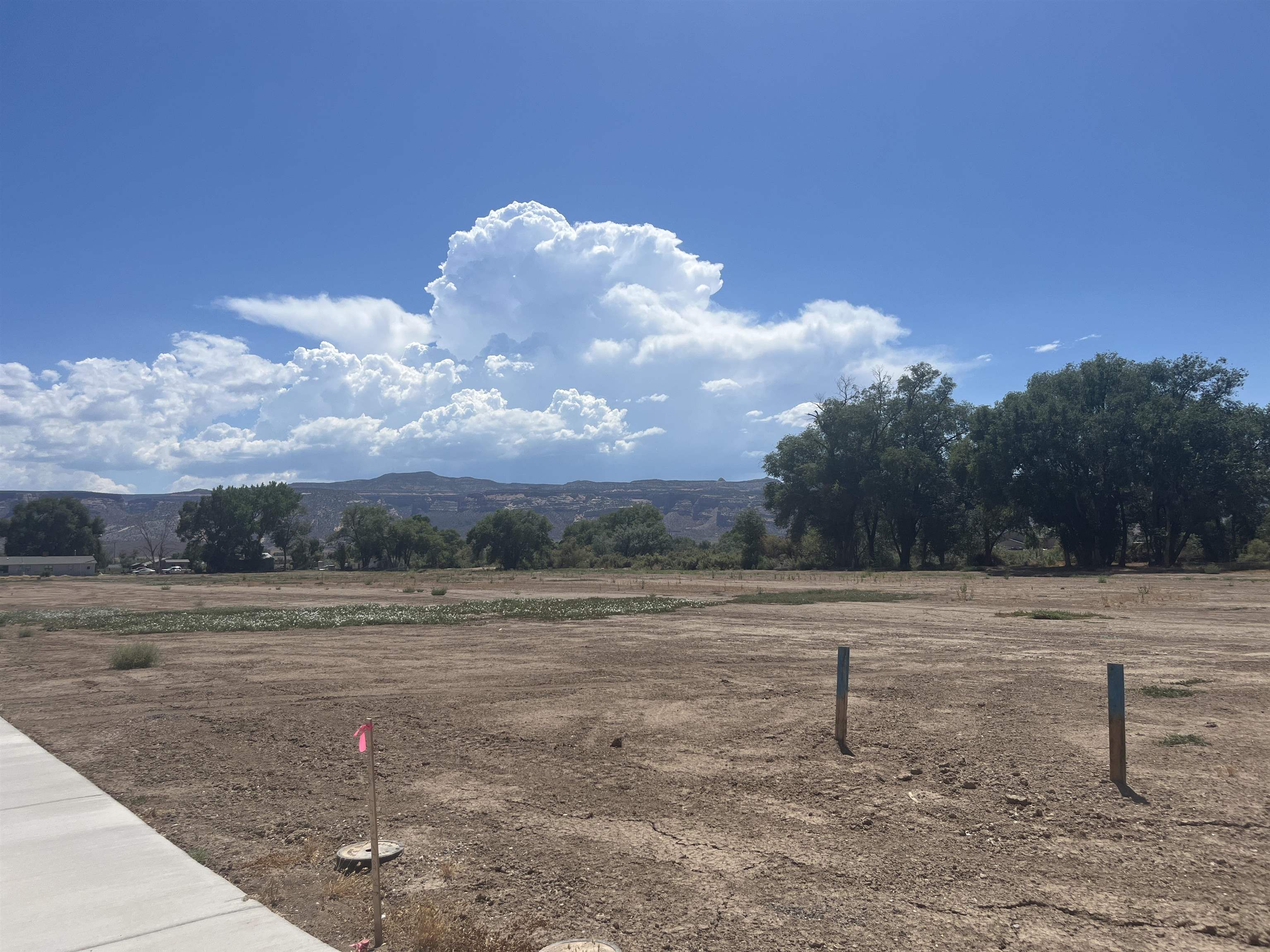 Land in Fruita